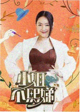 综艺来客请留步海报
